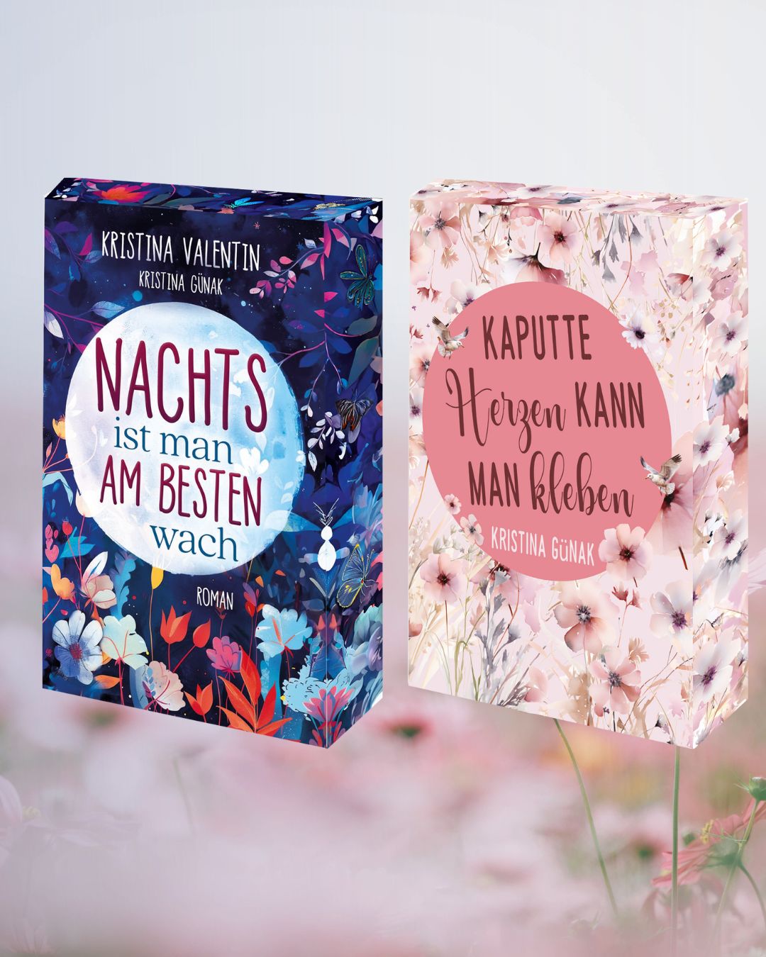 Farbschnitt Buch