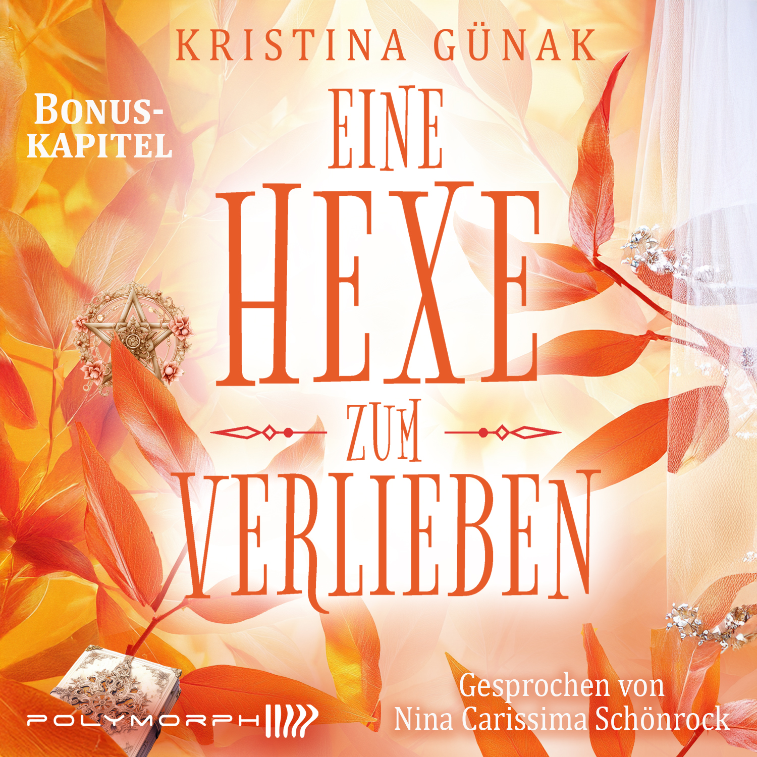 Hörbuch aller Bonuskapitel